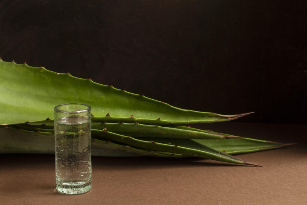 folhas de babosa (aloe vera) sobre uma mesa com um vidro contendo aloe vera