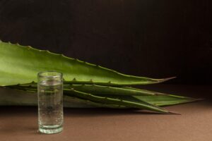 folhas de babosa (aloe vera) sobre uma mesa com um vidro contendo aloe vera