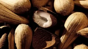 manteiga de murumuru para pele e cabelos